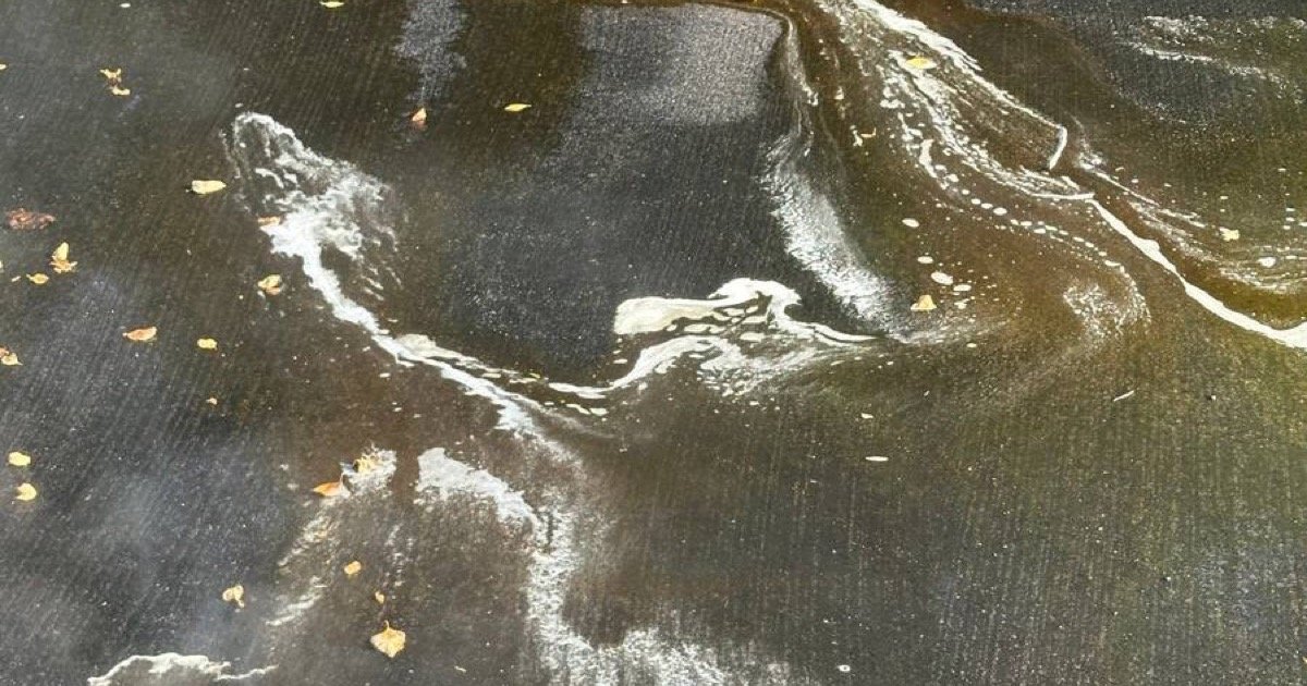 Can You Pressure Wash an Asphalt Driveway? Why We Say No, and What Concrete Gets Instead Water and cleaning runoff being rinsed down a sloped asphalt driveway at low pressure with a wide fan tip