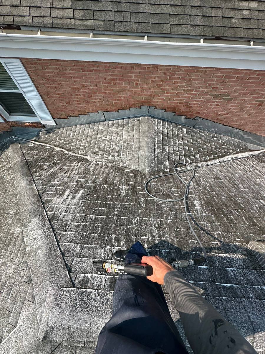 Pane Pal technician applying soft wash cleaning solution to an asphalt shingle roof through a low pressure wand, with the hose run up over the ridge behind