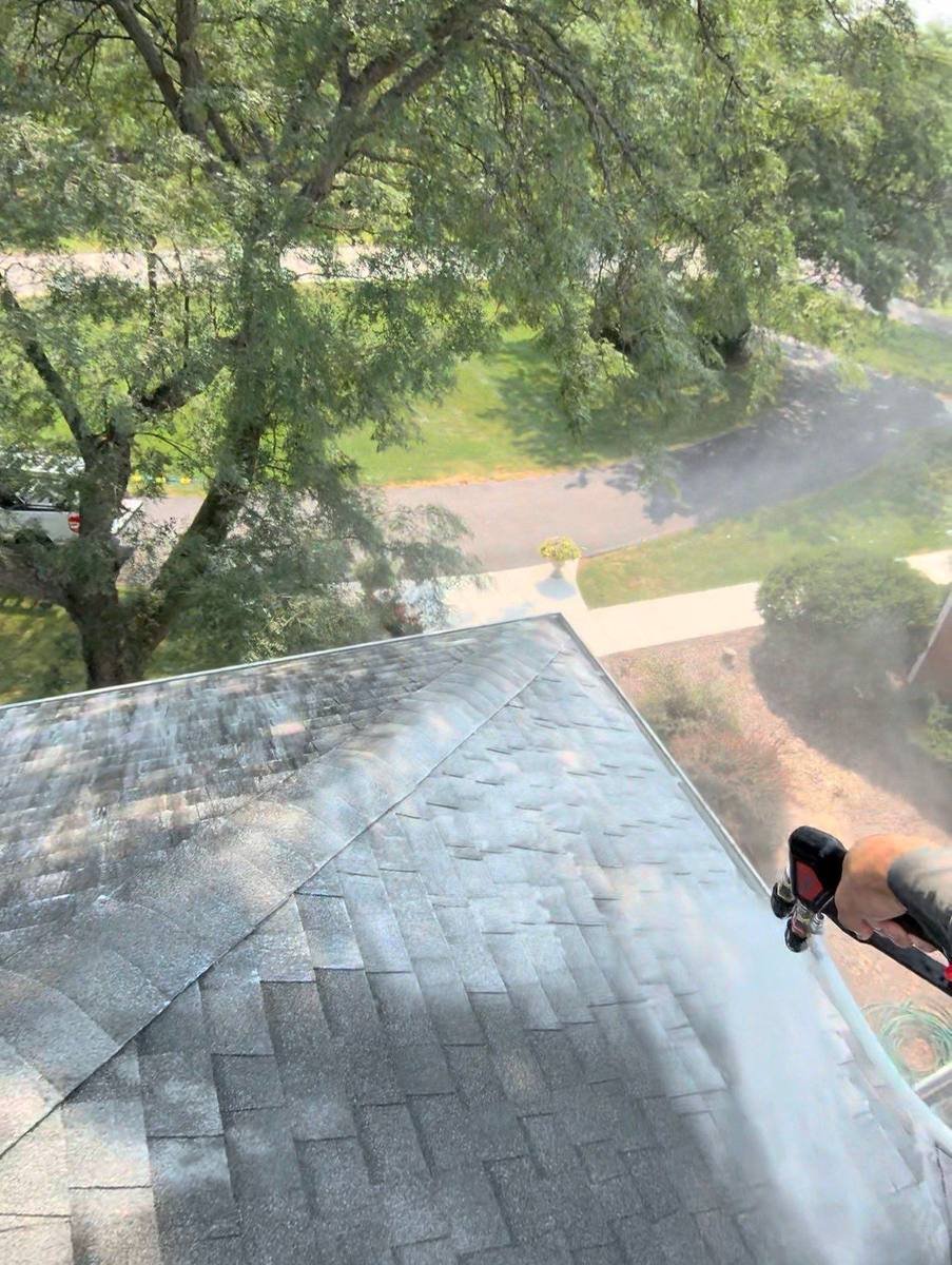 Technician rinsing an asphalt shingle roof with low pressure water from the roof edge, with rinse spray drifting out over the front yard and driveway below