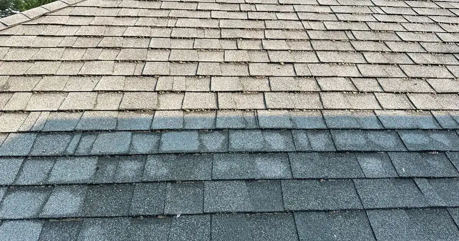 Roof Soft Washing, Step by Step: Why the Rinse Is the Part Nobody Sees Asphalt shingle roof caught halfway through the rinse, lower section washed down and upper section still dry