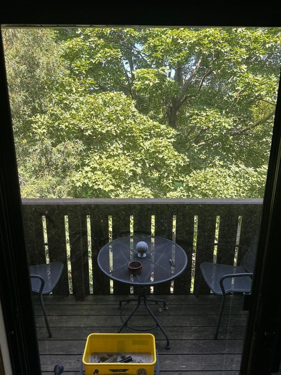 View through a freshly cleaned patio door onto a wooden deck with a bistro table and two chairs, mature green trees beyond, and a window cleaner's bucket sitting on the deck boards