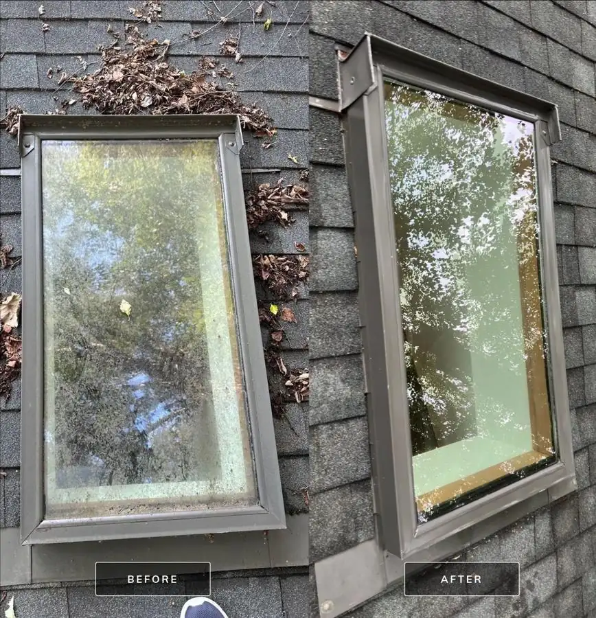 Before and after comparison of a skylight on an asphalt shingle roof, the before pane clouded with grime and surrounded by leaf debris and the after pane fully clear and reflecting trees