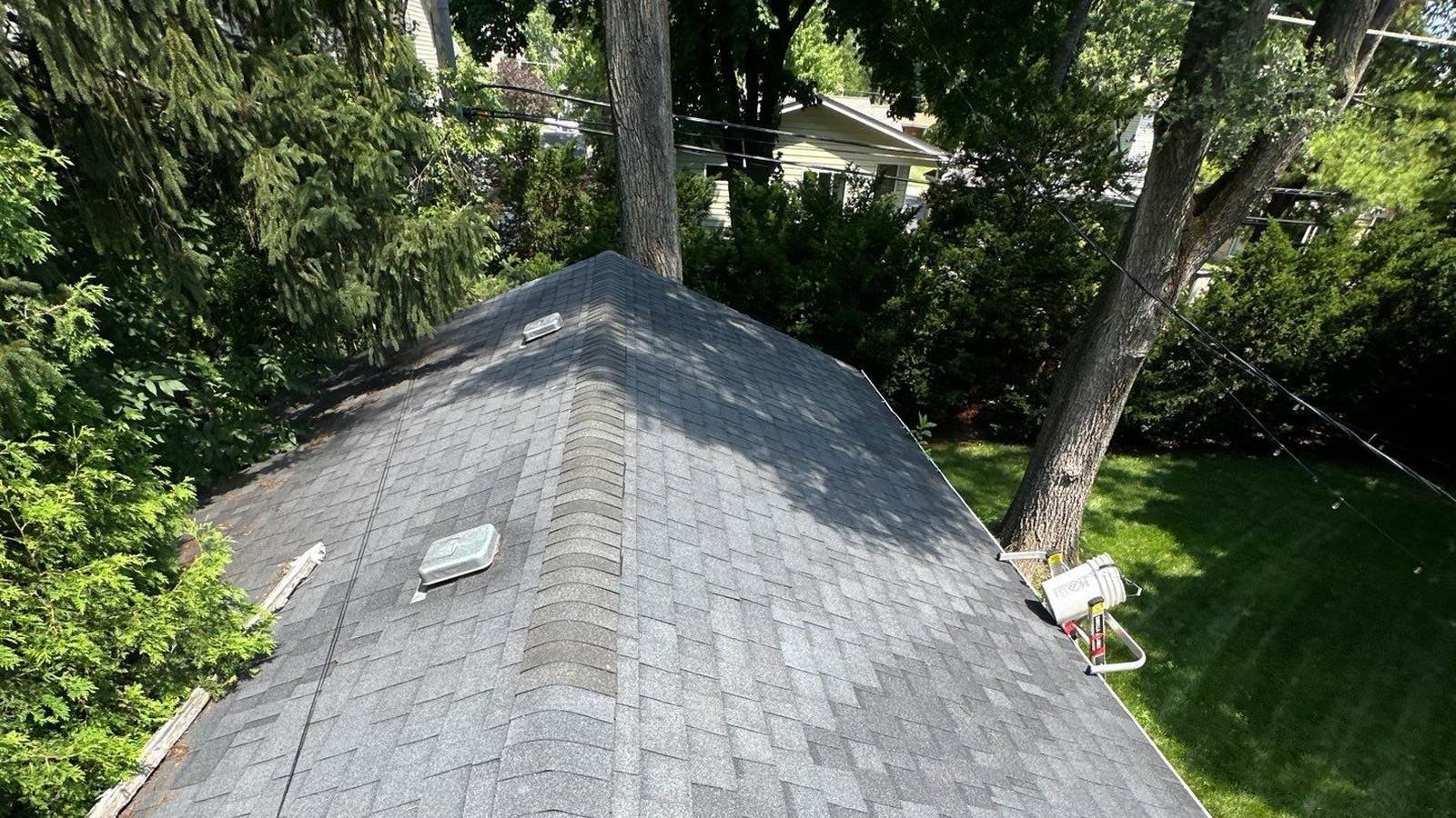 Asphalt shingle roof and gutter line under a heavy tree canopy in Northbrook, IL during a gutter cleaning