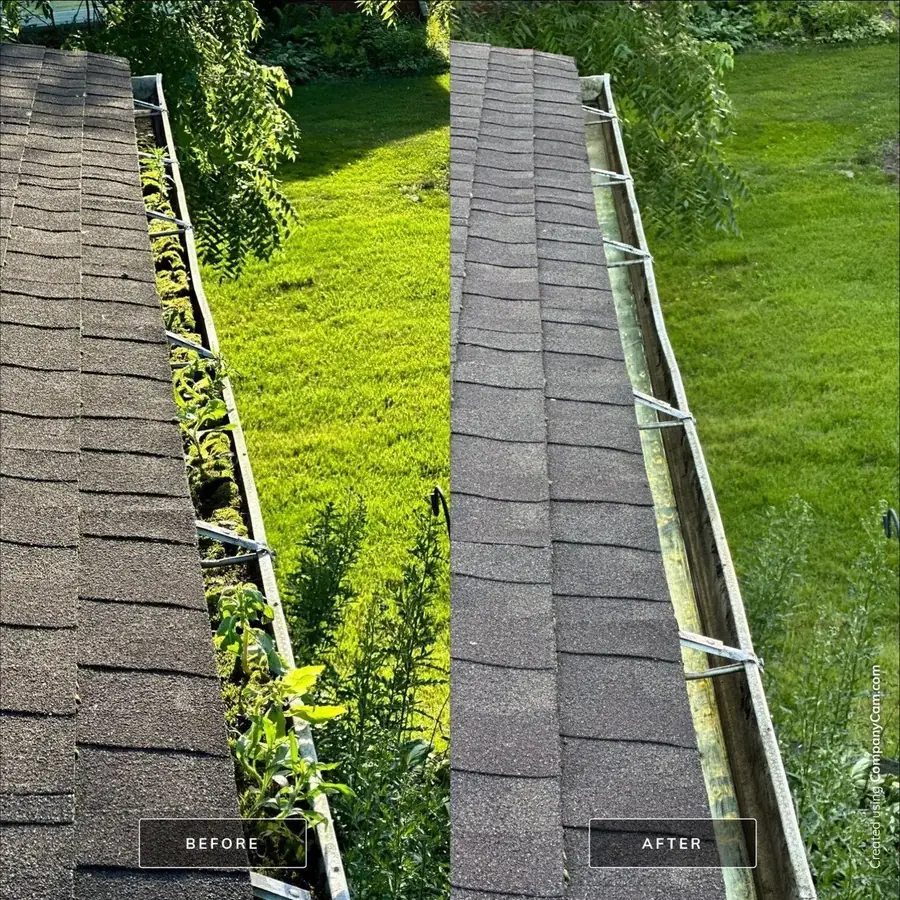 gutter cleaning Palatine IL before and after moss algae removal North Shore