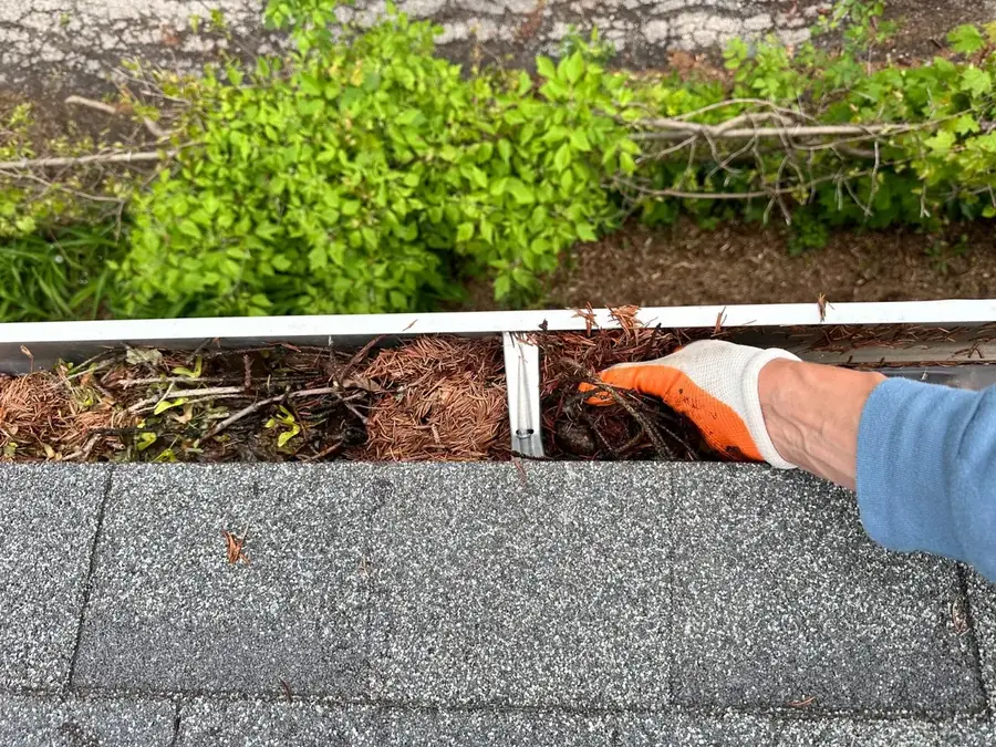 Gutter Cleaning