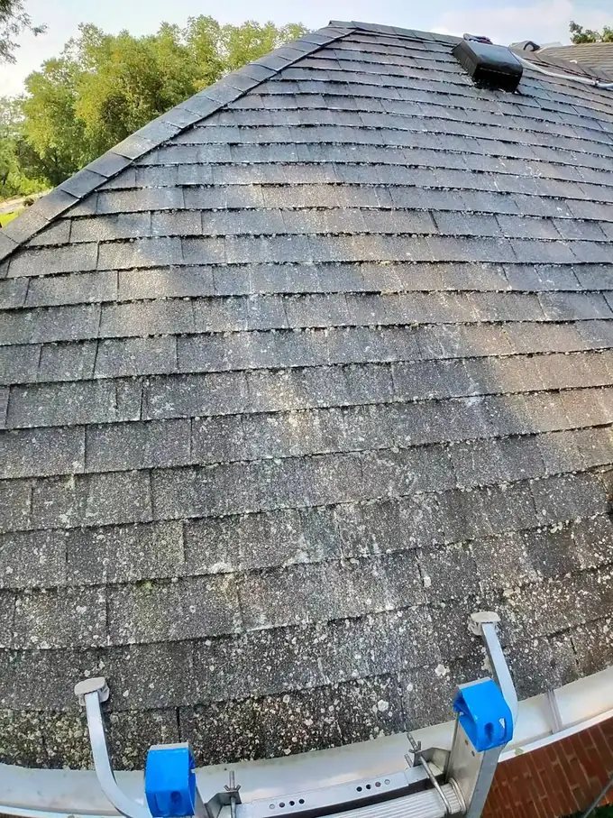 Close view of an asphalt shingle roof before soft washing, showing grey green lichen patches and dark algae staining across the shingles with gutter guards along the eave