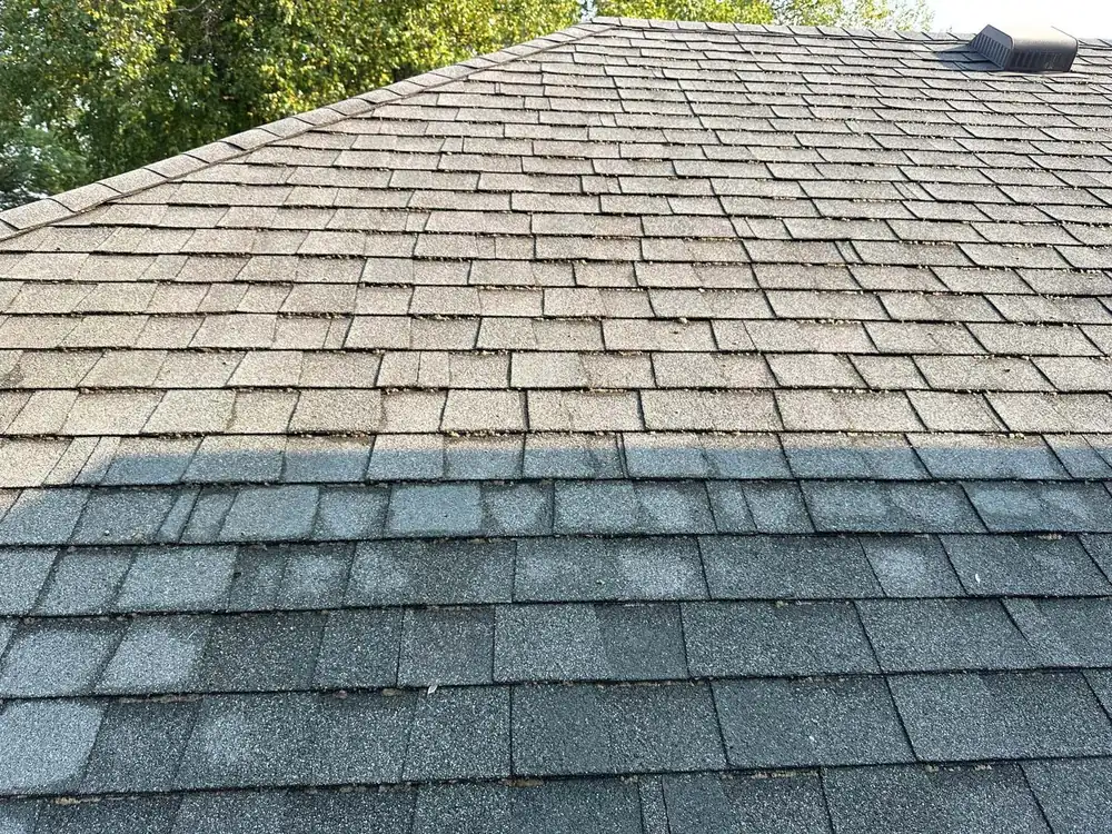Asphalt shingle roof in Inverness Illinois photographed mid-rinse, the lower section washed clean and dark while the upper section is still pale with algae and debris, with a sharp horizontal line between them