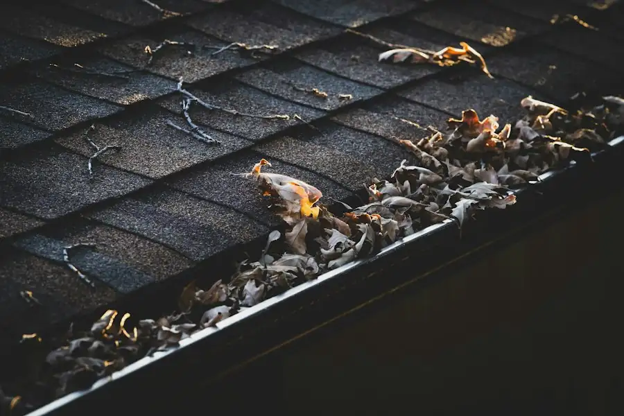 How Often Should Gutters Be Cleaned in the North Shore? Clean residential gutters on a brick house with autumn trees in the background